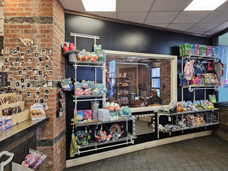 Natürlich kannst du dir auch alle möglichen Spielzeuge für deinen Hund kaufen