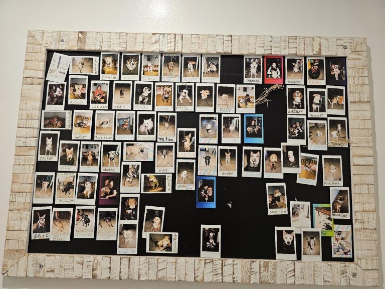 Hunde of Fame im Café