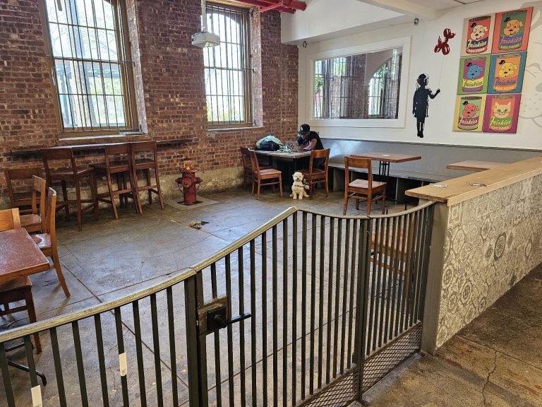 Die Spielearea für Hunde im Café - gerade ist es etwas ruhiger