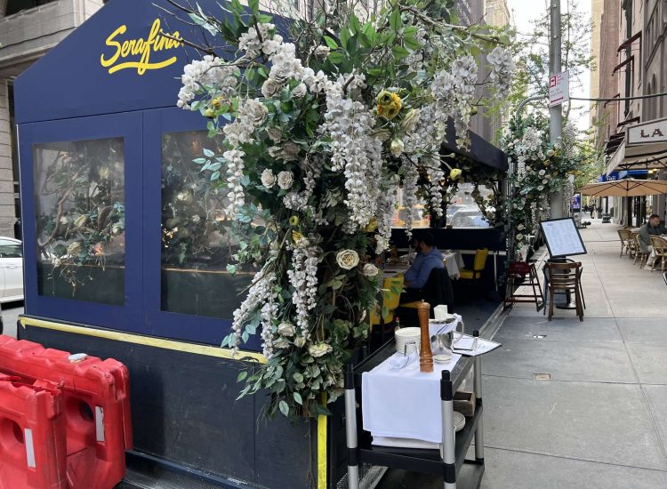 Läufst Du hier vorbei hast Du keine Chance die Pflanzen zu übersehen